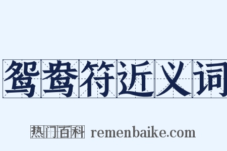鸳鸯符近义词是什么意思的图片
